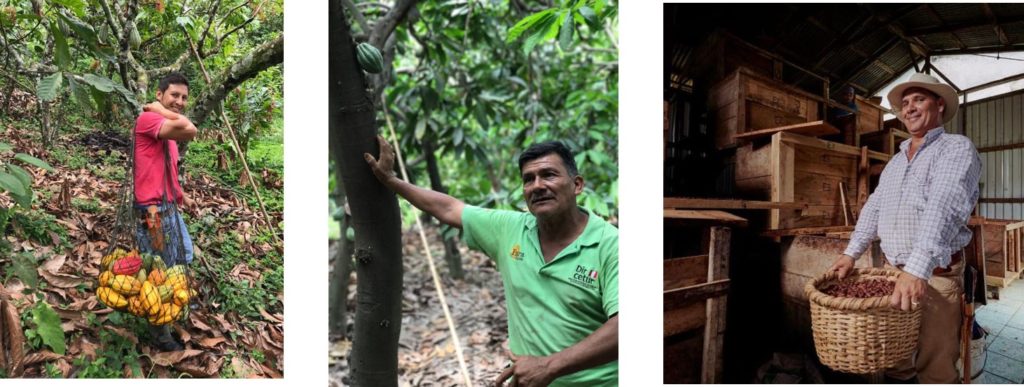 sustainable chocolate cacao farmers