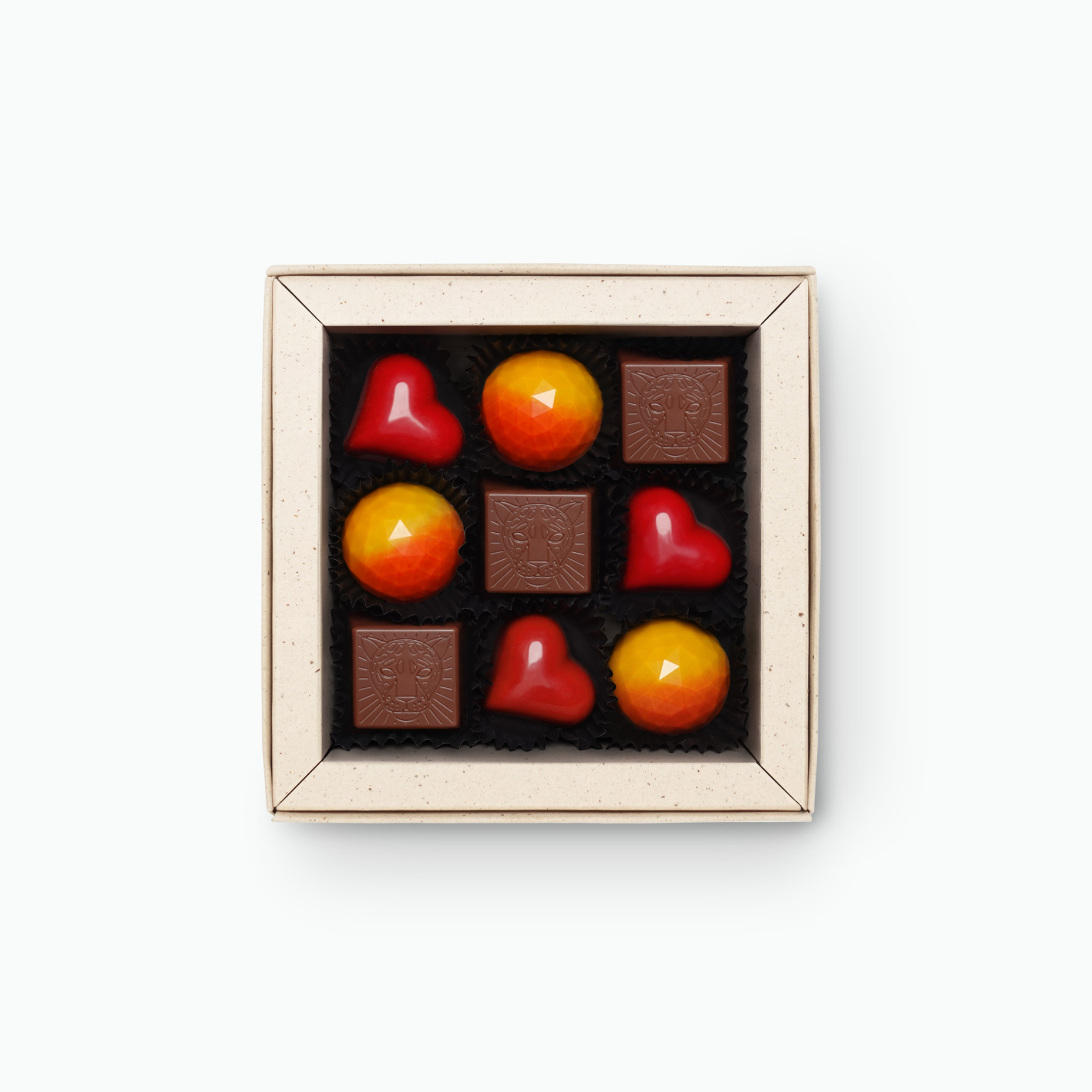 Belgian chocolate fruit mix