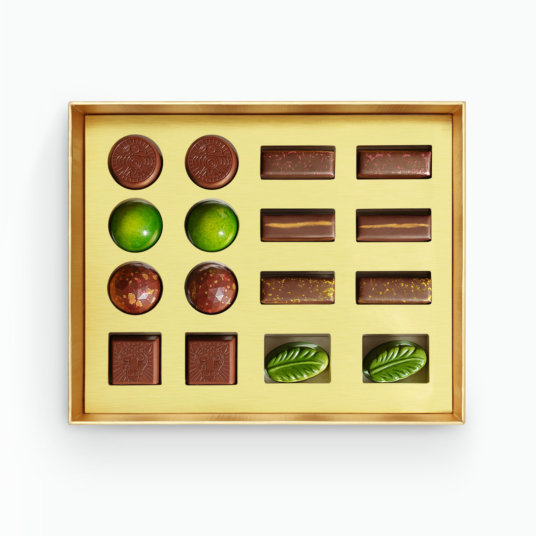 Grand tour belgian chocolate adventure
